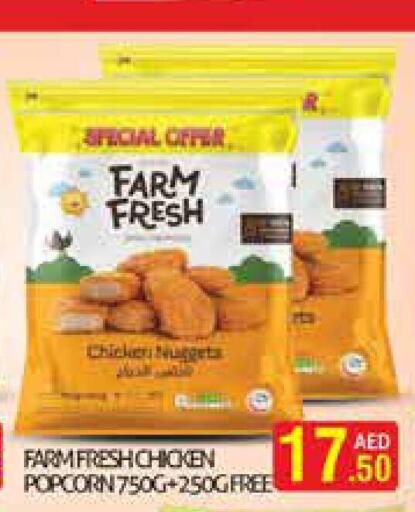 FARM FRESH Chicken Nuggets  in Palm Centre LLC in UAE - Sharjah / Ajman