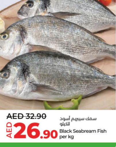  King Fish  in لولو هايبرماركت in الإمارات العربية المتحدة , الامارات - رَأْس ٱلْخَيْمَة