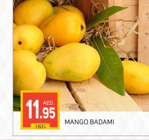 Mango Mango  in TALAL MARKET in UAE - Dubai