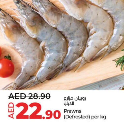  King Fish  in لولو هايبرماركت in الإمارات العربية المتحدة , الامارات - أم القيوين‎