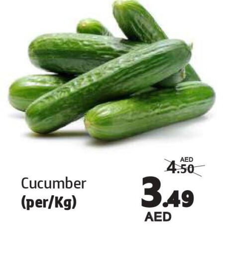  Cucumber  in الحوت  in الإمارات العربية المتحدة , الامارات - الشارقة / عجمان