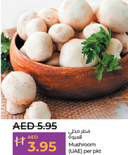  Mushroom  in لولو هايبرماركت in الإمارات العربية المتحدة , الامارات - ٱلْعَيْن‎
