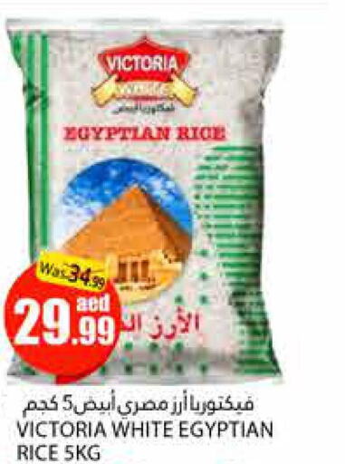  Egyptian / Calrose Rice  in مجموعة باسونس in الإمارات العربية المتحدة , الامارات - ٱلْعَيْن‎