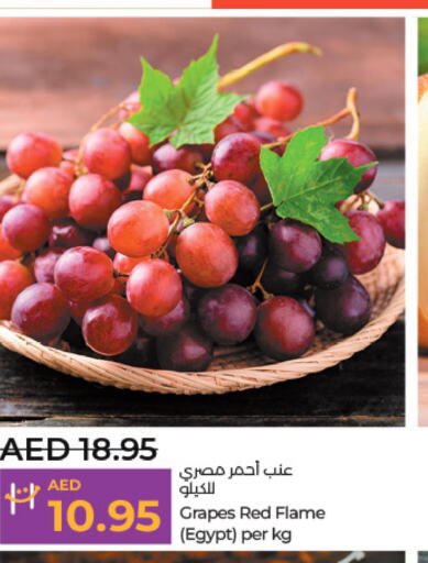  Grapes  in لولو هايبرماركت in الإمارات العربية المتحدة , الامارات - ٱلْعَيْن‎