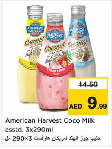  Flavoured Milk  in Nesto Hypermarket in UAE - Abu Dhabi