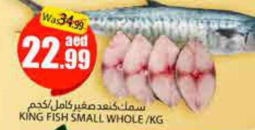  King Fish  in مجموعة باسونس in الإمارات العربية المتحدة , الامارات - ٱلْعَيْن‎