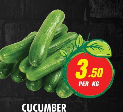  Cucumber  in نايت تو نايت in الإمارات العربية المتحدة , الامارات - الشارقة / عجمان