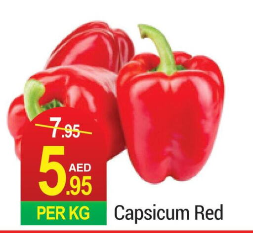  Chilli / Capsicum  in Rich Supermarket in UAE - Dubai