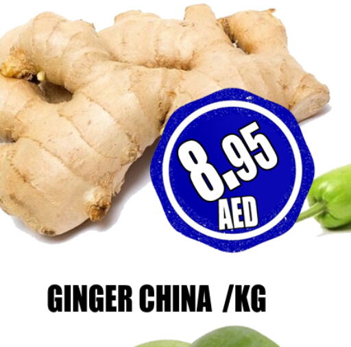  Ginger  in GRAND MAJESTIC HYPERMARKET in UAE - Abu Dhabi