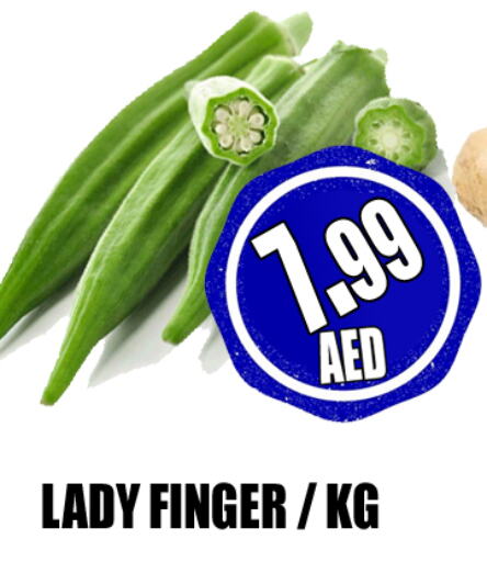  Lady's finger  in GRAND MAJESTIC HYPERMARKET in UAE - Abu Dhabi