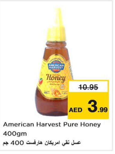 AMERICAN HARVEST Honey  in نستو هايبرماركت in الإمارات العربية المتحدة , الامارات - رَأْس ٱلْخَيْمَة