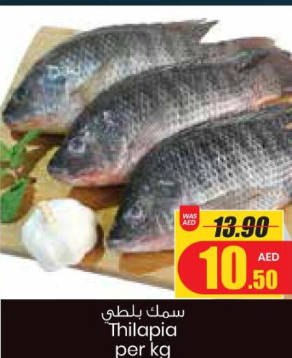  King Fish  in Armed Forces Cooperative Society (AFCOOP) in UAE - Ras al Khaimah