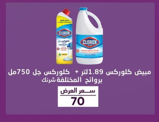 CLOROX General Cleaner  in جملة ماركت in Egypt - القاهرة