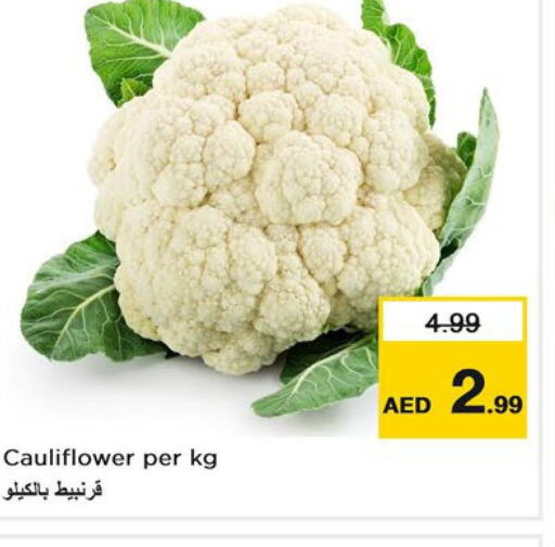  Cauliflower  in نستو هايبرماركت in الإمارات العربية المتحدة , الامارات - رَأْس ٱلْخَيْمَة
