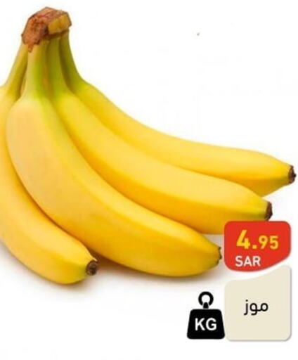  Banana  in أسواق رامز in مملكة العربية السعودية, السعودية, سعودية - المنطقة الشرقية