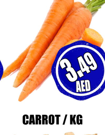  Carrot  in GRAND MAJESTIC HYPERMARKET in UAE - Abu Dhabi