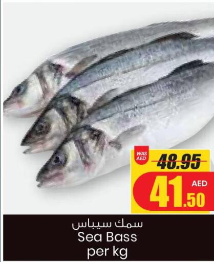  King Fish  in Armed Forces Cooperative Society (AFCOOP) in UAE - Abu Dhabi