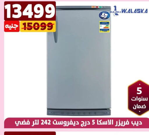  Refrigerator  in Shaheen Center in Egypt - Cairo
