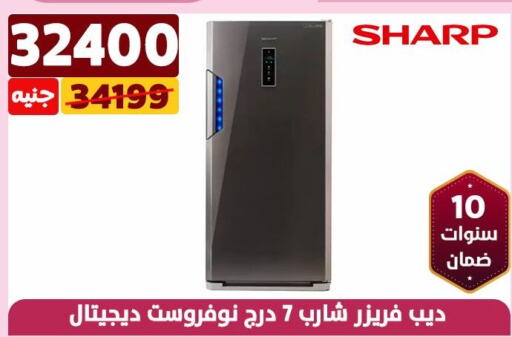 SHARP Refrigerator  in Shaheen Center in Egypt - Cairo