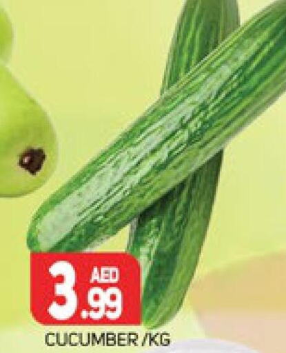  Cucumber  in مركز النخيل هايبرماركت in الإمارات العربية المتحدة , الامارات - الشارقة / عجمان