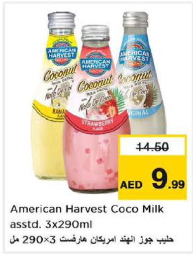  Flavoured Milk  in Nesto Hypermarket in UAE - Al Ain