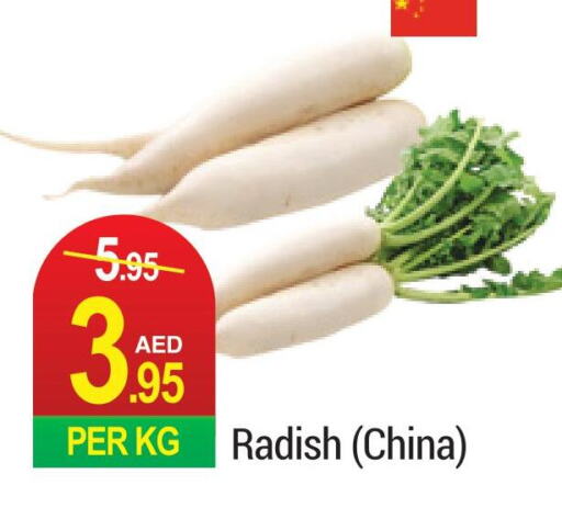  Radish  in Rich Supermarket in UAE - Dubai
