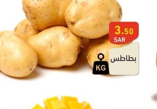  Potato  in أسواق رامز in مملكة العربية السعودية, السعودية, سعودية - المنطقة الشرقية