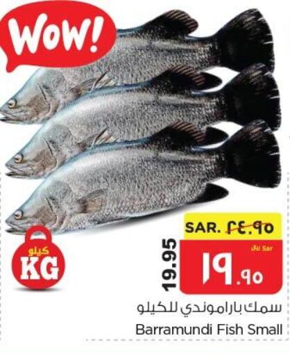  King Fish  in نستو in مملكة العربية السعودية, السعودية, سعودية - الأحساء‎