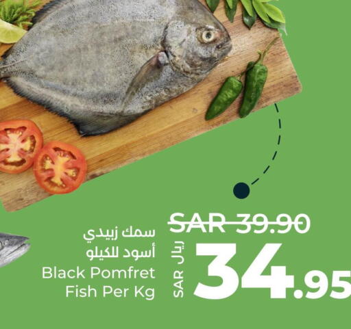  King Fish  in LULU Hypermarket in KSA, Saudi Arabia, Saudi - Unayzah