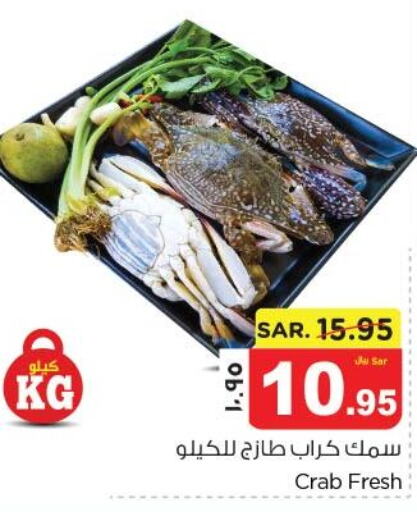  King Fish  in Nesto in KSA, Saudi Arabia, Saudi - Al Khobar