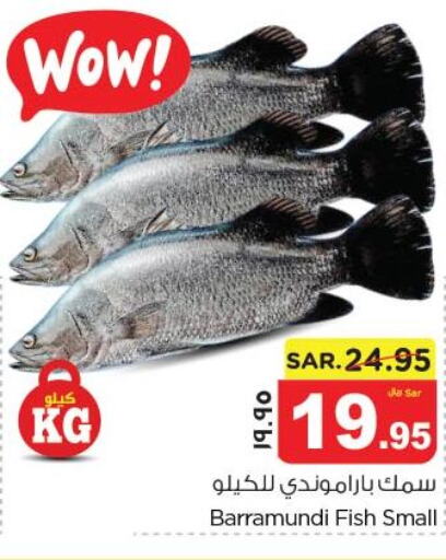  King Fish  in نستو in مملكة العربية السعودية, السعودية, سعودية - المنطقة الشرقية