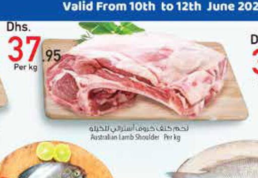  Mutton / Lamb  in السفير هايبر ماركت in الإمارات العربية المتحدة , الامارات - أبو ظبي