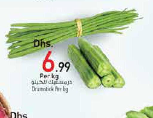  Cabbage  in Safeer Hyper Markets in UAE - Fujairah