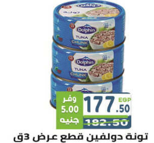  Tuna - Canned  in هايبر ماركت دريم in Egypt - القاهرة