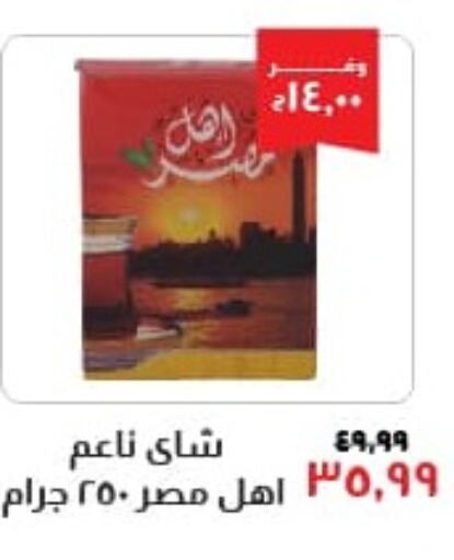  Tea Powder  in خير زمان in Egypt - القاهرة