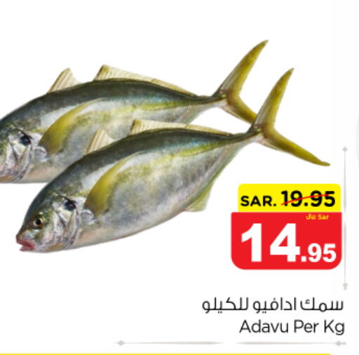  King Fish  in نستو in مملكة العربية السعودية, السعودية, سعودية - الرياض
