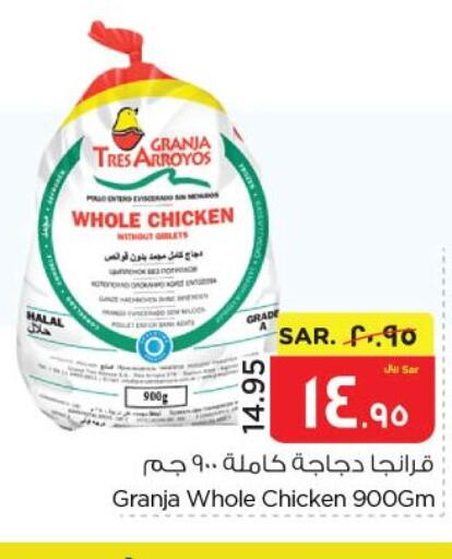  Fresh Chicken  in Nesto in KSA, Saudi Arabia, Saudi - Al Hasa