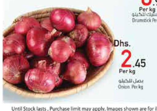  Onion  in Safeer Hyper Markets in UAE - Fujairah