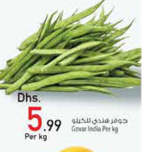  Cabbage  in Safeer Hyper Markets in UAE - Fujairah