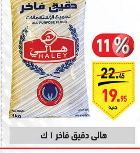 HALEY All Purpose Flour  in أسواق العثيم in Egypt - القاهرة