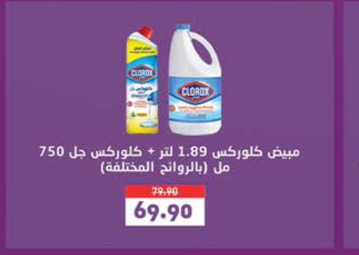 CLOROX Bleach  in Seoudi Supermarket in Egypt - Cairo
