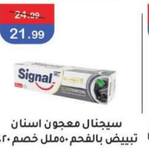 SIGNAL Toothpaste  in ابو السعود in Egypt - القاهرة