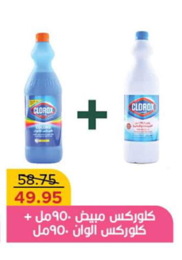 CLOROX General Cleaner  in بيك مارت in Egypt - القاهرة