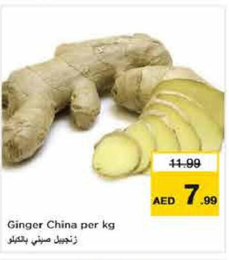  Ginger  in نستو هايبرماركت in الإمارات العربية المتحدة , الامارات - أبو ظبي