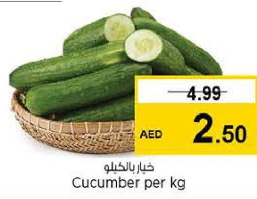  Cucumber  in لاست تشانس in الإمارات العربية المتحدة , الامارات - الشارقة / عجمان