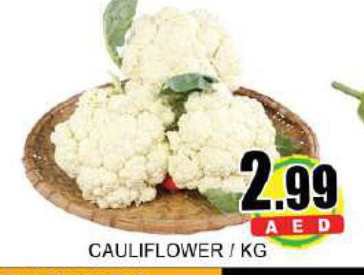  Cauliflower  in لكي سنتر in الإمارات العربية المتحدة , الامارات - الشارقة / عجمان