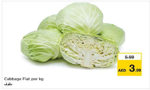  Cabbage  in Last Chance  in UAE - Fujairah