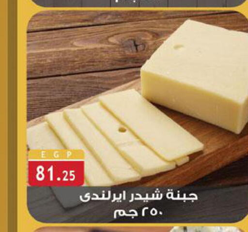  Cheddar Cheese  in Al Rayah Market   in Egypt - Cairo