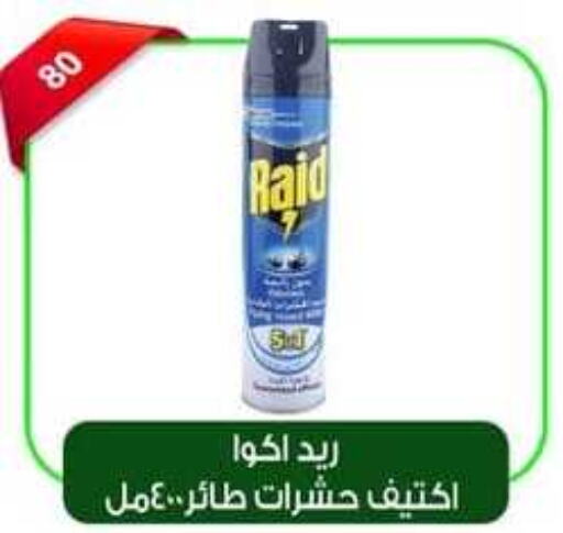 RAID   in Green Hypermarket in Egypt - Cairo