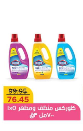 CLOROX General Cleaner  in Pickmart in Egypt - Cairo